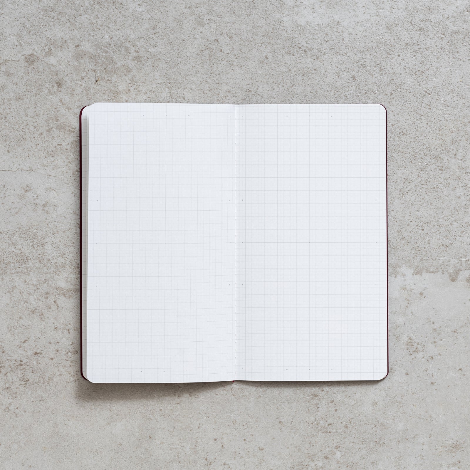 "RECORD" - LITE Project Planner