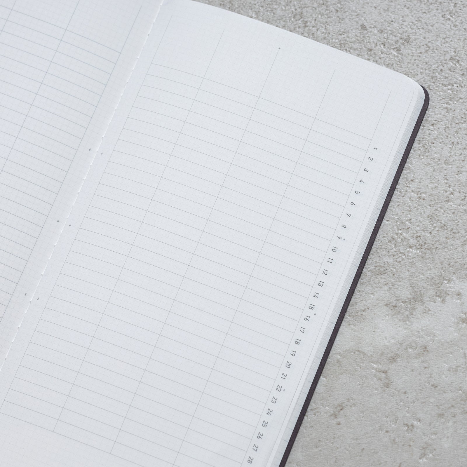 "RECORD" - LITE Project Planner