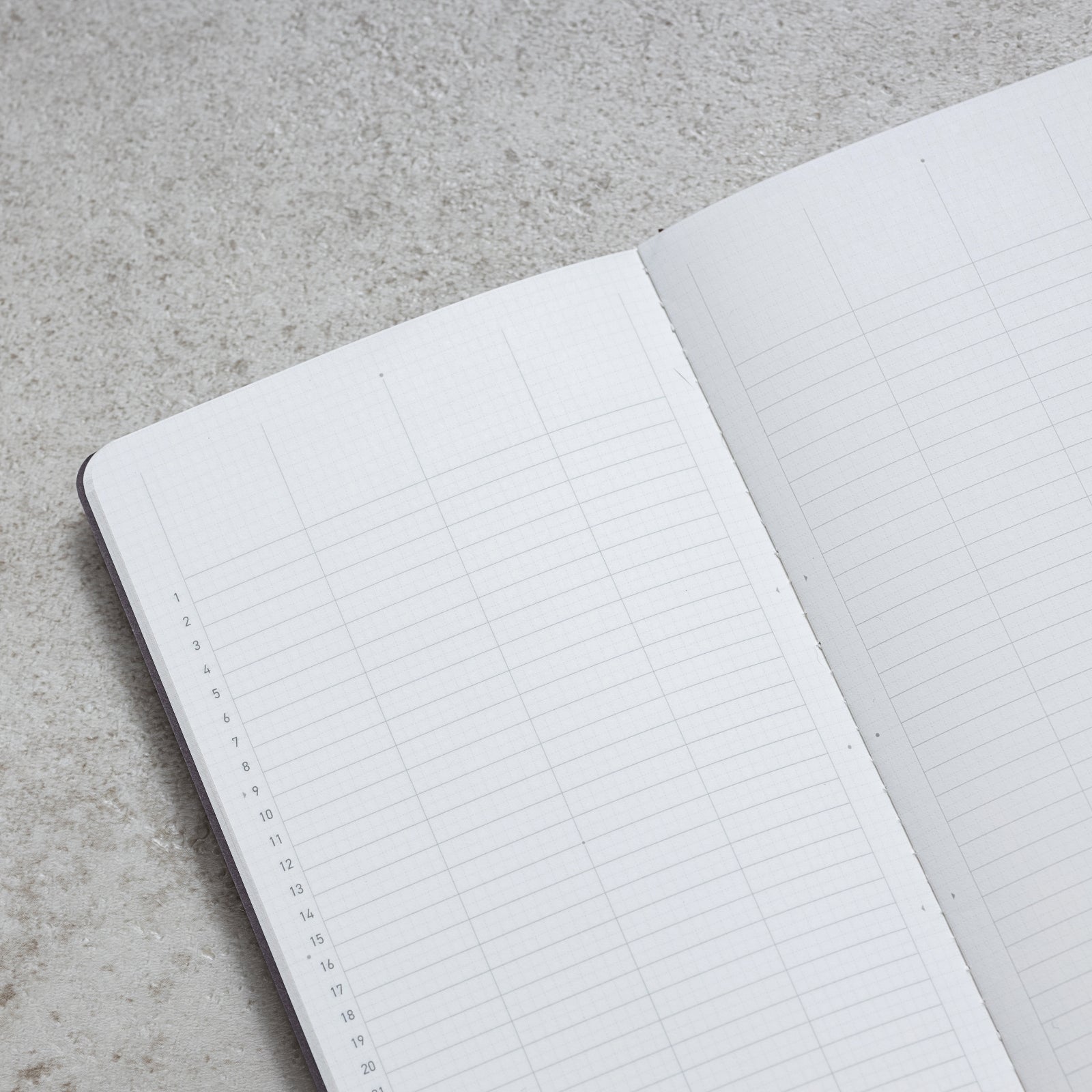 "RECORD" - LITE Project Planner