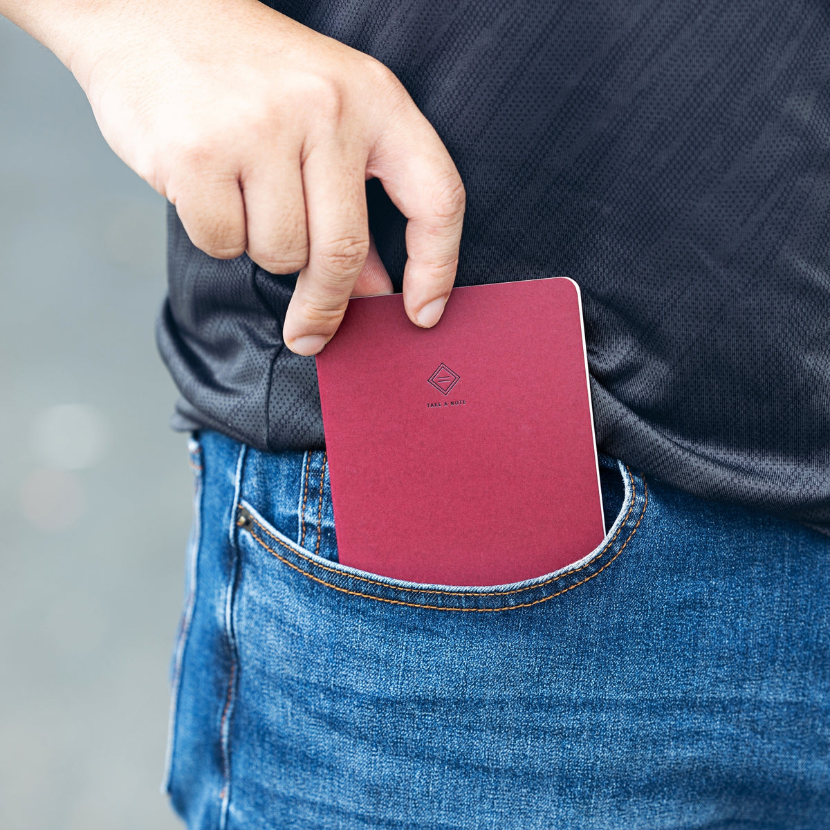 TAKE A NOTE "RECORD" - LITE Undated Monthly Planner