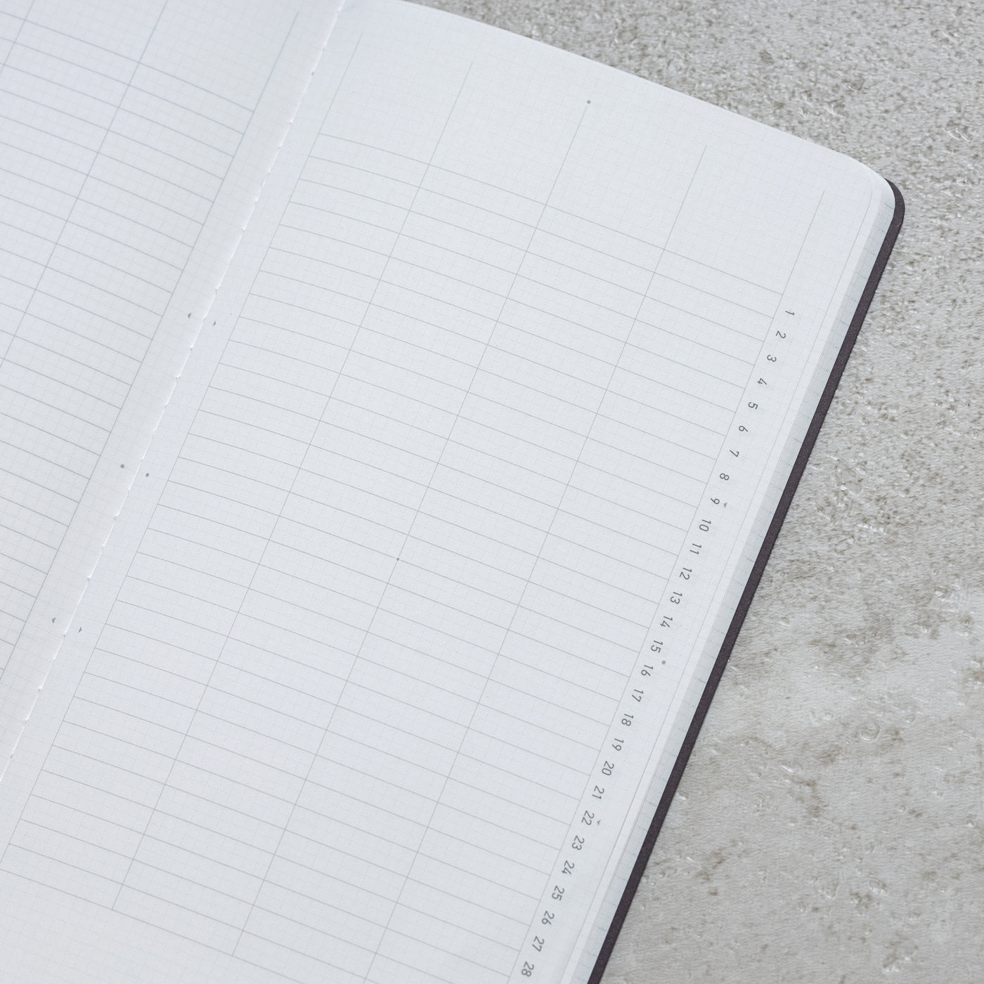 "RECORD" - LITE Project Planner